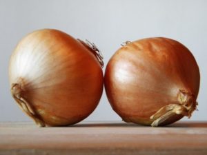 Cipolla