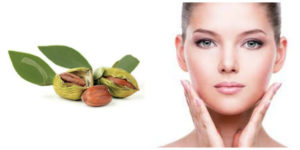 jojoba