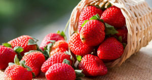 Fragole