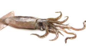 totani