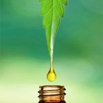cannabidiolo